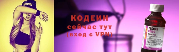 эйфоретик Алзамай
