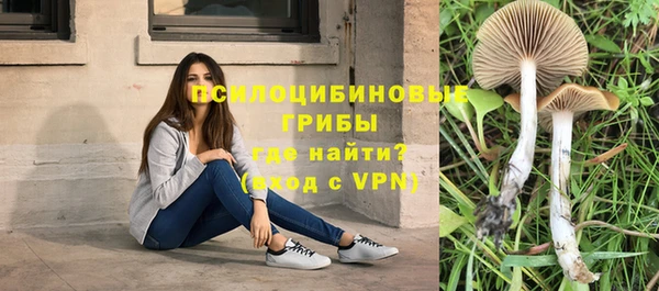 а пвп мука Армянск