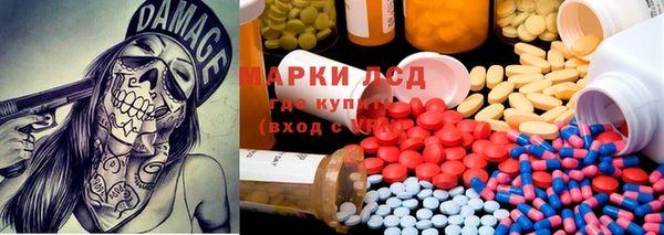 трава Арсеньев