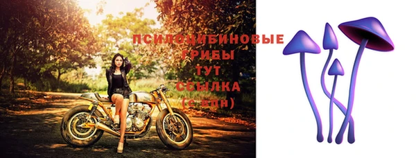 a pvp Алексин