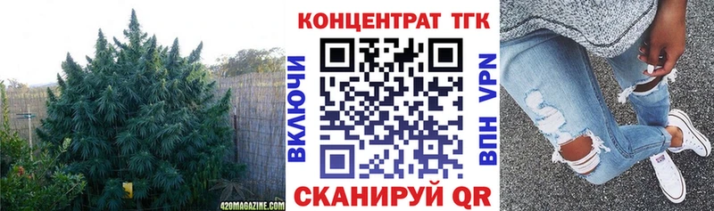 shop телеграм  наркошоп  Дорогобуж  Дистиллят ТГК гашишное масло 